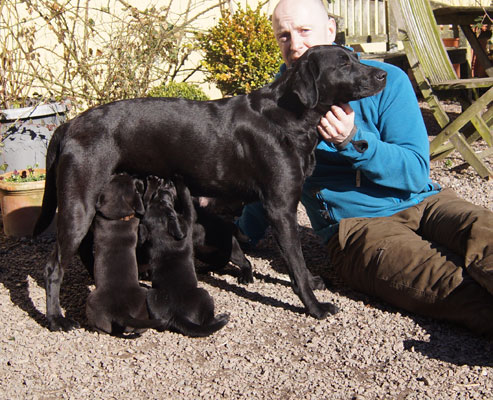 R-Kull 6 weeks